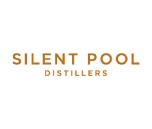 silent pool_logo 1